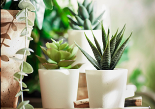 подолог обучение в ижевске. gorshki 1. подолог обучение в ижевске фото. подолог обучение в ижевске-gorshki 1. картинка подолог обучение в ижевске. картинка gorshki 1. подолог обучение в ижевске. gorshki 1. подолог обучение в ижевске фото. подолог обучение в ижевске-gorshki 1. картинка подолог обучение в ижевске. картинка gorshki 1.